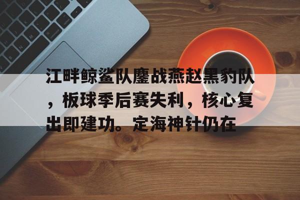 kaiyun-关于江畔鲸鲨队鏖战燕赵黑豹队，板球季后赛失利，核心复出即建功。定海神针仍在的信息