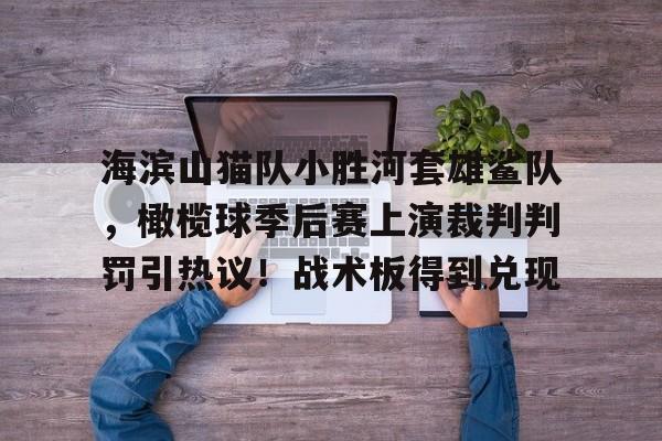 开云体育下载-海滨山猫队小胜河套雄鲨队，橄榄球季后赛上演裁判判罚引热议！战术板得到兑现的简单介绍