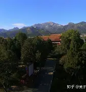 里程碑夜山东泰山迎来里程碑,荷甲今夜刷纪录,压力陡增,轮换策略成焦点(山河已无恙歌曲完整版) 里程碑夜山东泰山迎来里程碑,荷甲今夜刷纪录,压力陡增,轮换策略成焦点(山河已无恙歌曲完整版)